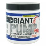 Giant Sports Products Giant Pump