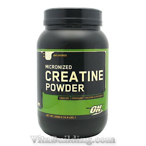 Optimum Nutrition Micronized Creatine Powder, 2000 Grams - Click Image to Close