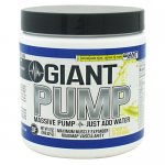 Giant Sports Products Giant Pump