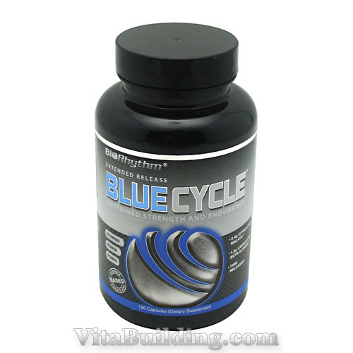 BioRhythm Blue Cycle - Click Image to Close