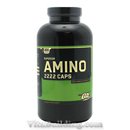 Optimum Nutrition Superior Amino 2222 Caps, 300 Capsules - Click Image to Close